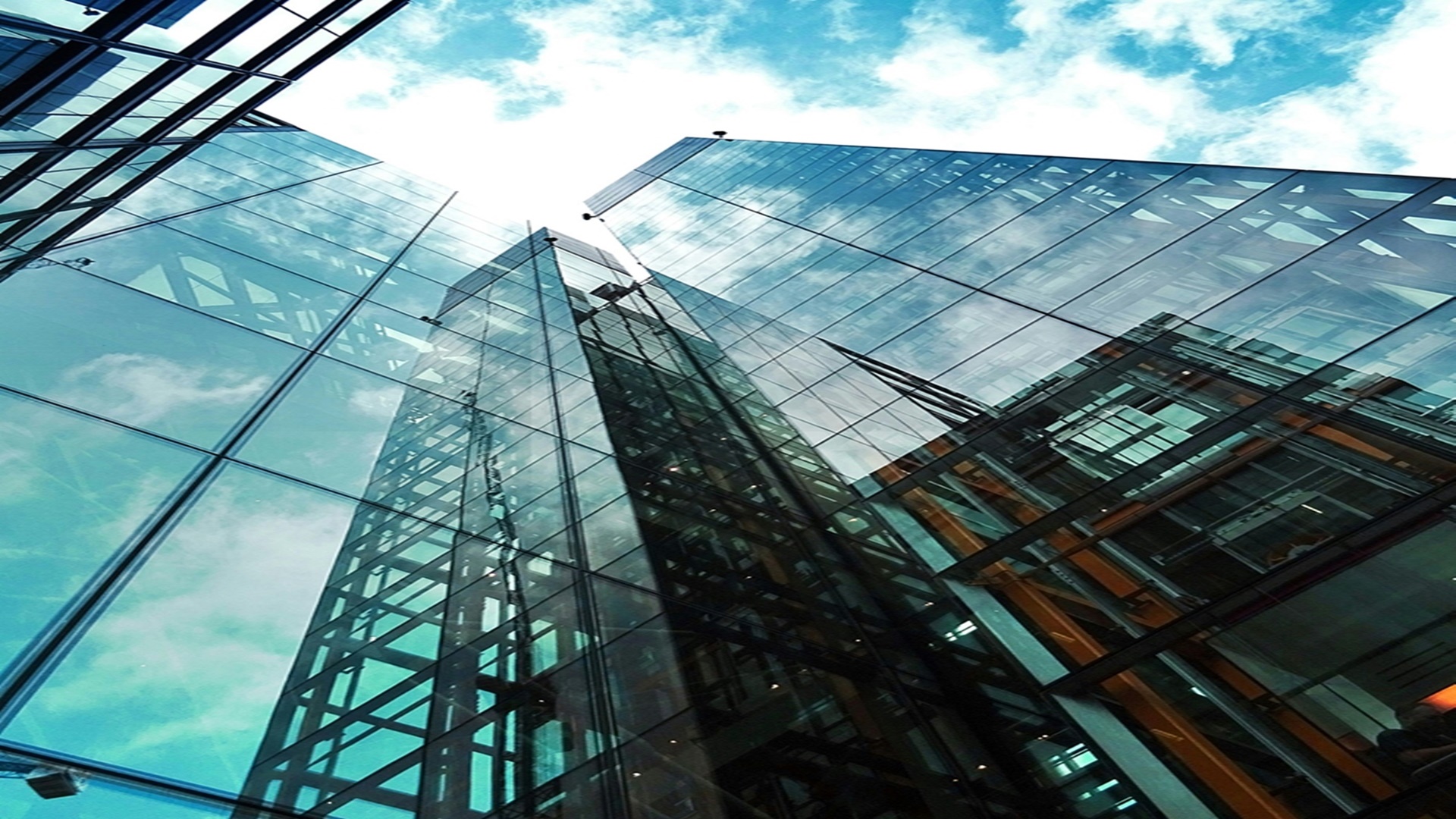 푸르지오 스타셀라49