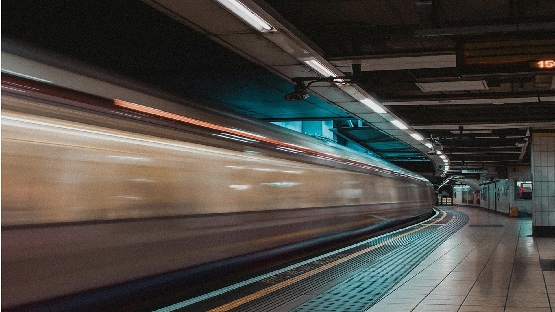 푸르지오 스타셀라49